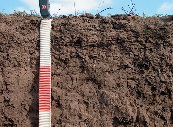 ImpactSoil
