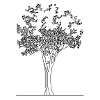 Autocad drawing Ficus trees Ficus Houseplants dwg , in Garden & Landscaping Trees